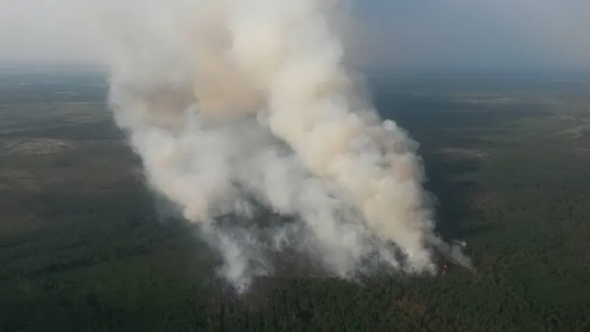 За 1,5 км ад мяжы з Беларуссю гарыць Палескі прыродны запаведнік